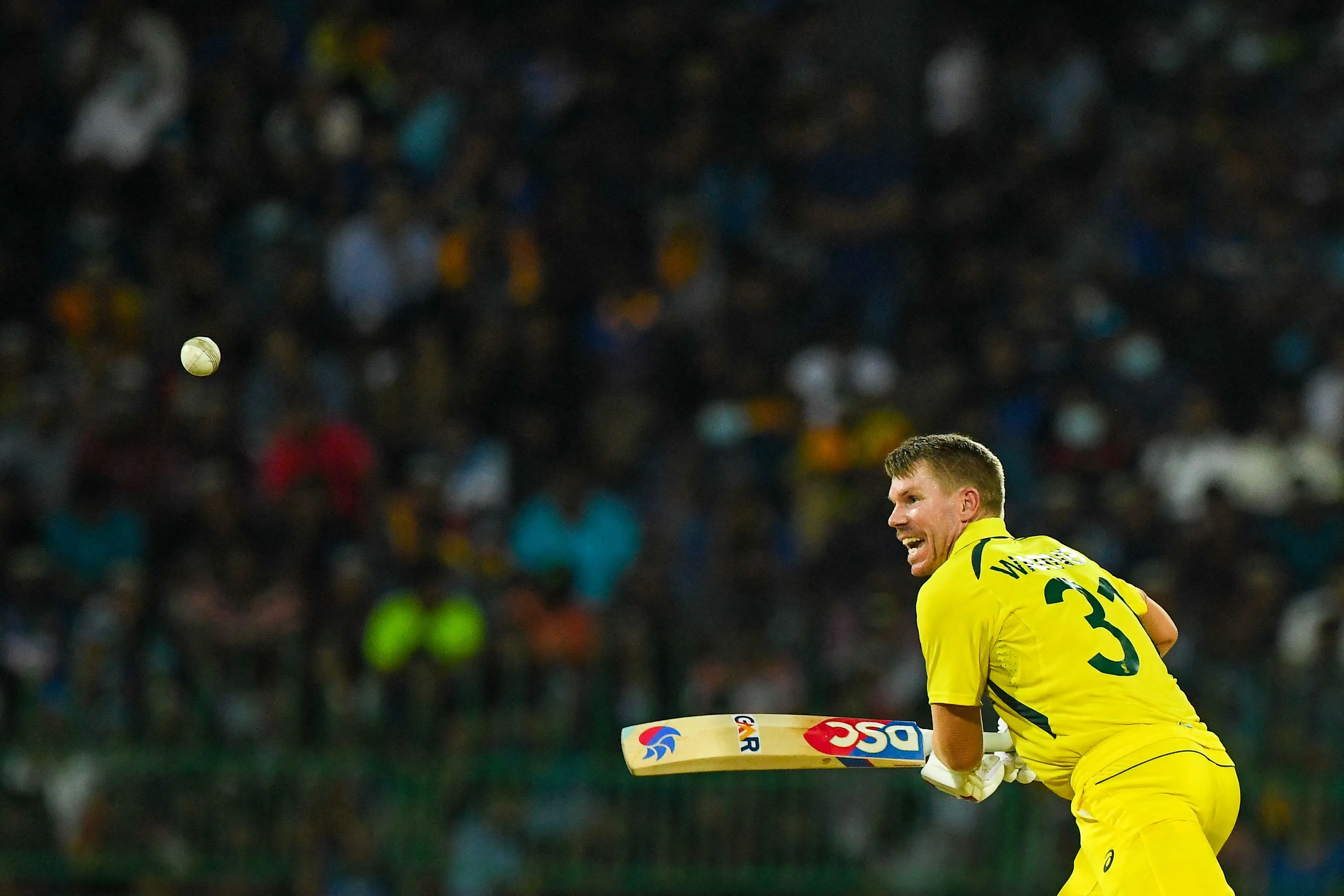 AUS vs ENG | Twitter reacts to endearing David Warner proving his case for captaincy with heart-winning gesture for fan