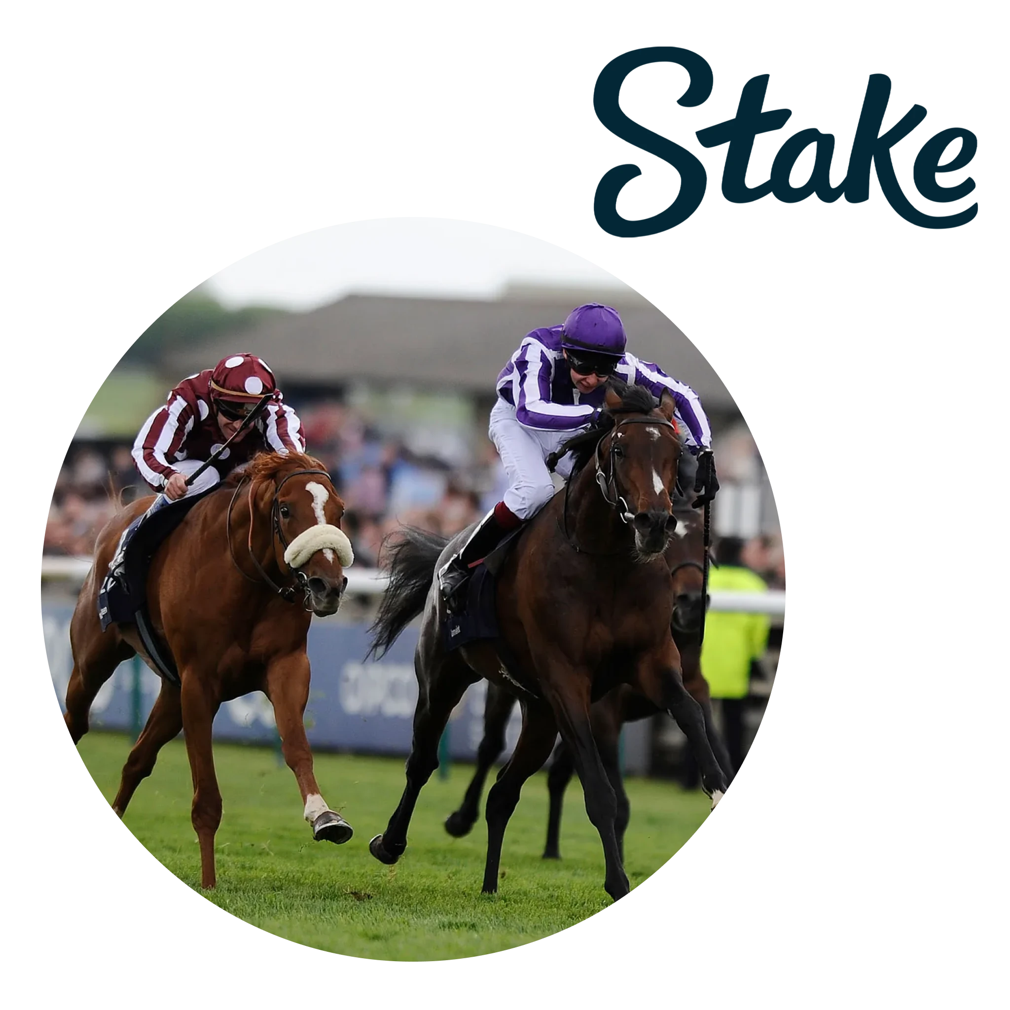 Stake is a solid option for those who want to bet on horse racing confidently.